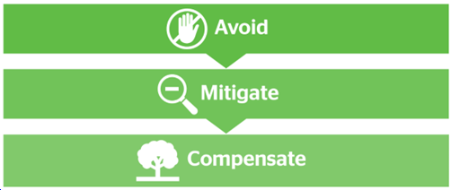 Three steps to achieve Biodiversity Net Gain