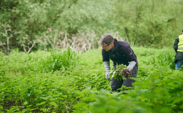 Community invited to shape the future of the River Colne over coffee