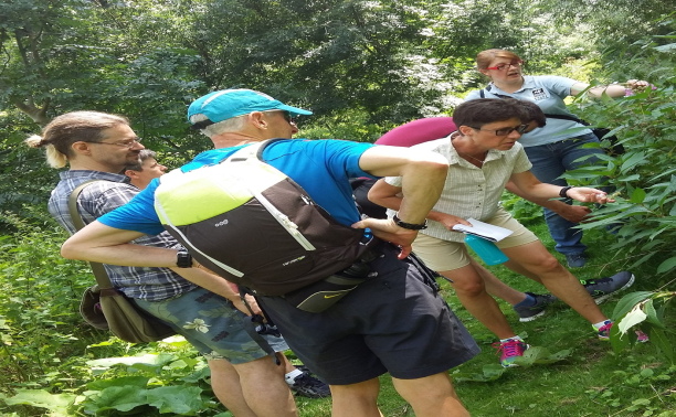 Get Outdoors, Get Active, Give Back: River Colne Volunteer Day
