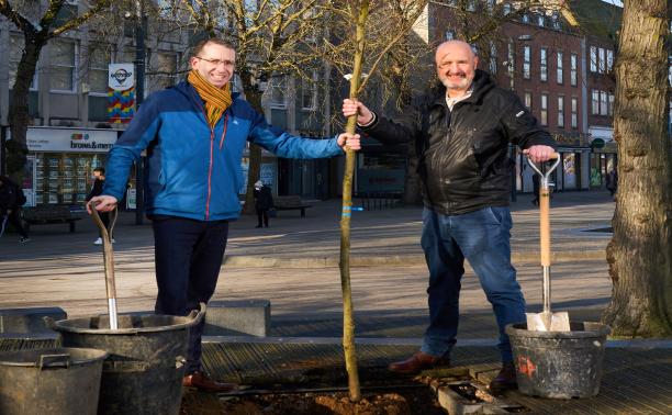 Tree planting town centre