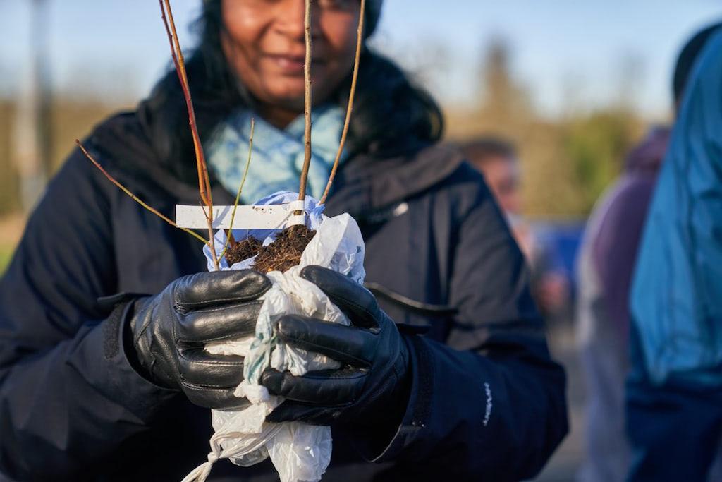 Join us to plant 3,000 Tree Saplings in Whippendell Wood