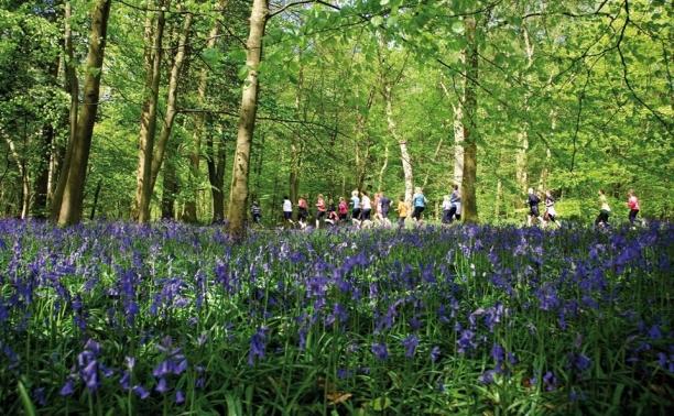 Whippendell Woods car park to close for three weeks (3 to 21 June)